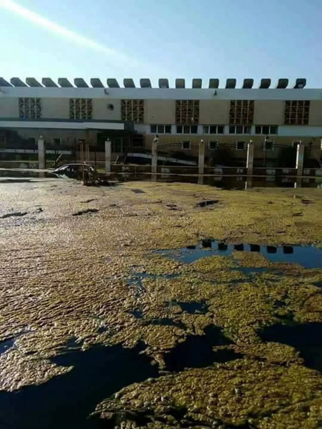 Raw sewage swilling outside the Sabri clinic (Photo: social media)