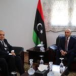 UN special envoy in Guba for talks with Ageela Saleh