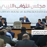 HoR commences discussion of draft constitution and its referendum