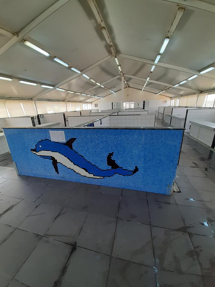 Tripoli fish market reopens