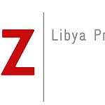 Solar PV training for 14 REAoL and GECOL technicians held in Tunisia