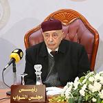 Saleh calls for first HoR meeting since formation of GNU