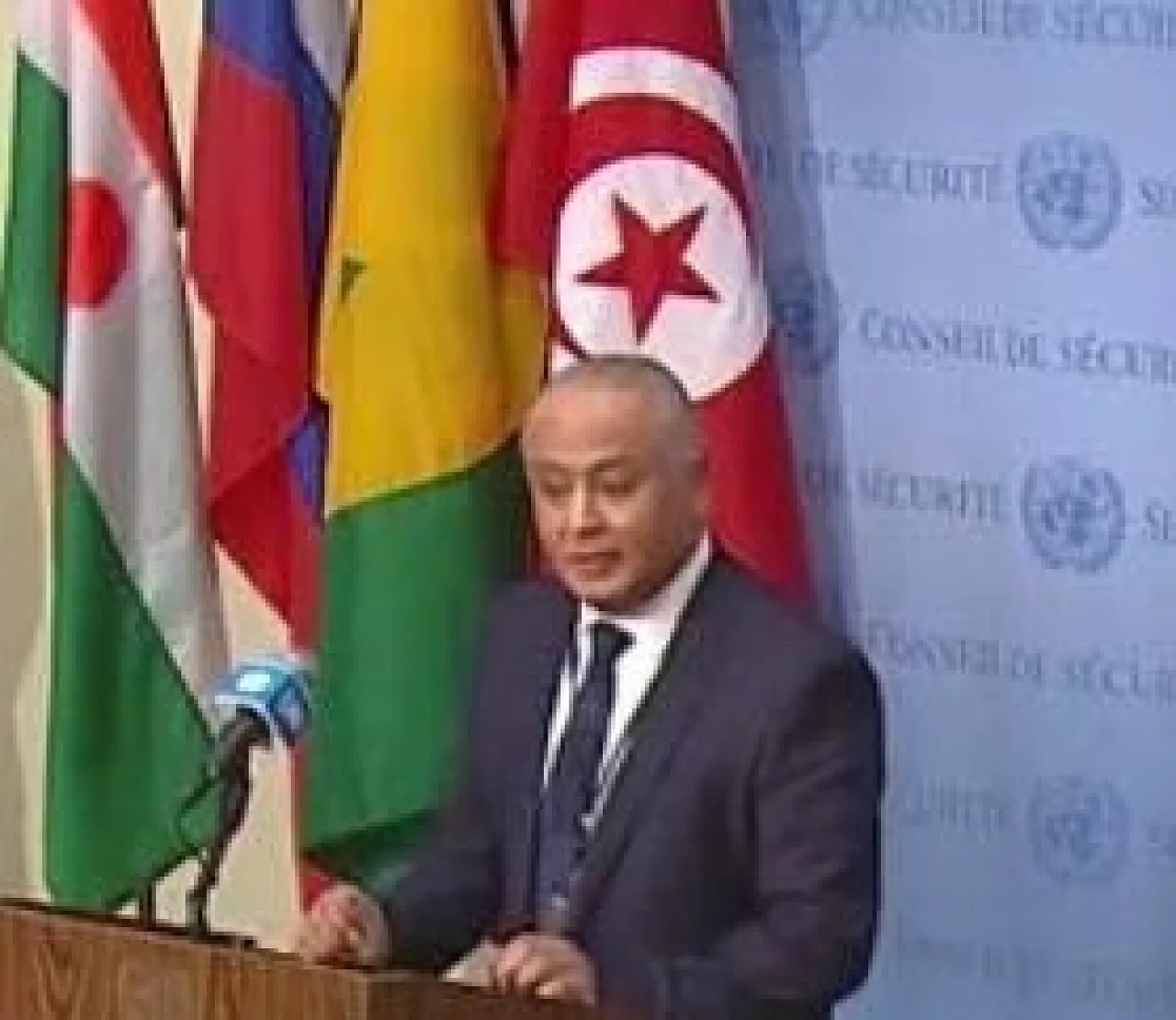 Libya will top Tunisia-led Security Council January agenda  (Photo: Tunisian Foreign Ministry).