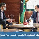 Libyan Health Ministry seeks German help in health visas, expertise, rebuilding primary healthcare, equipment and management of hospitals