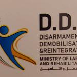 Ministry of Labour launches its version of the National Project for the Rehabilitation and Reintegration of Militias (DDR)