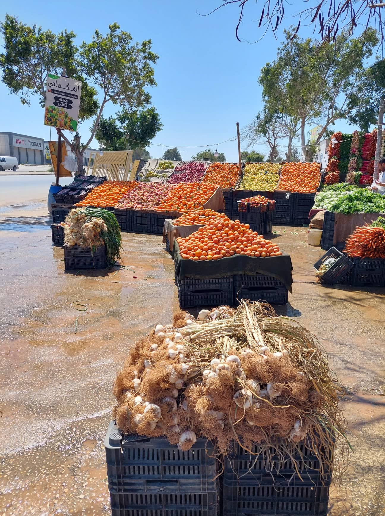Tunisia imposes fruit and vegetables export ban to all countries – including its largest importer Libya