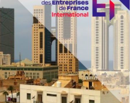 The French-Libyan Business Forum, Paris 20 June