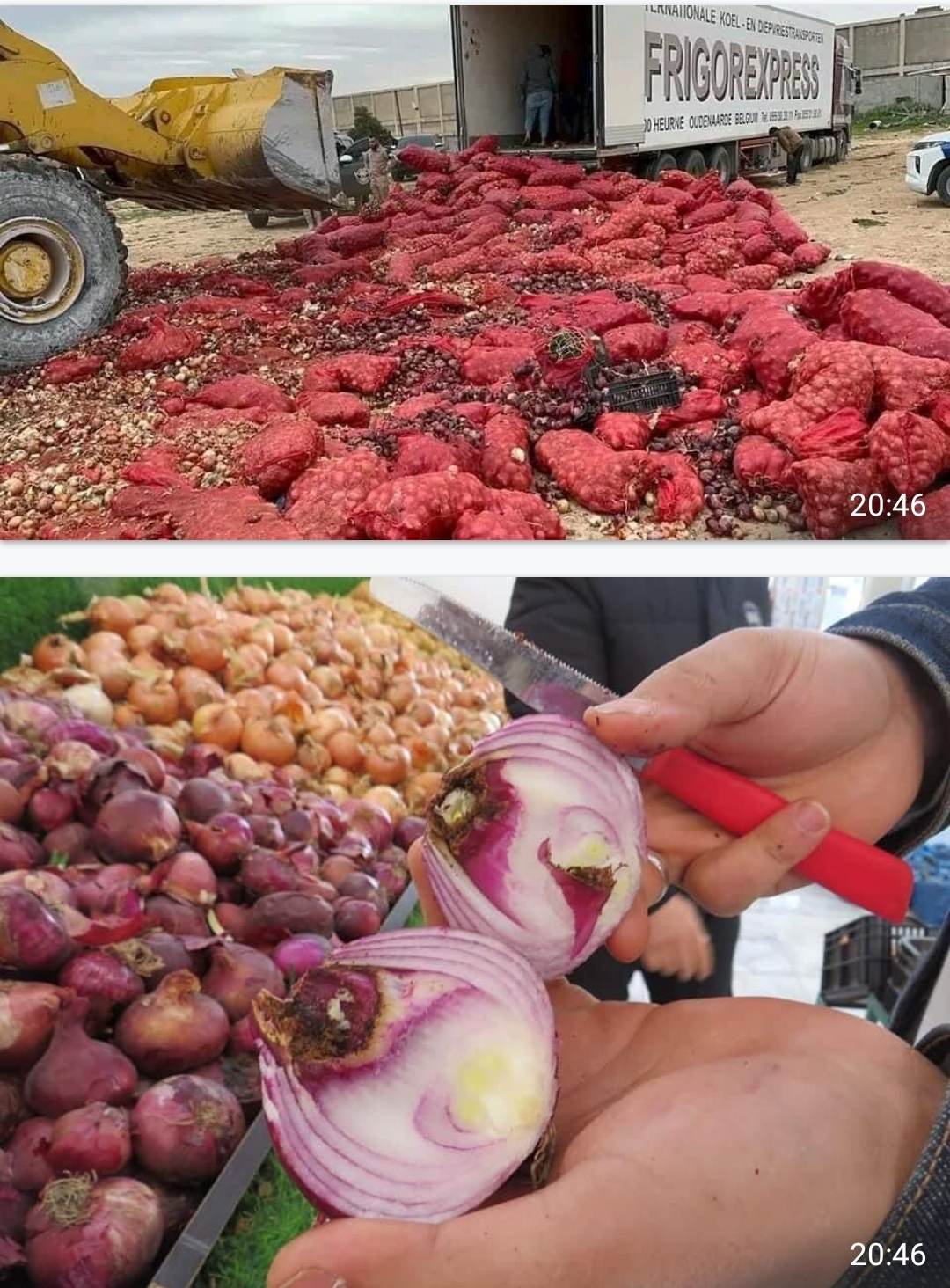 Large quantities of smuggled Egyptian onions unfit for consumption seized and destroyed
