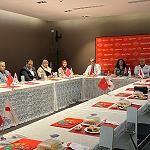 Health Ministry Committee visits Turkey, discusses training with medical institutions