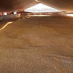 Food and Drugs Control Centre rejects shipment of wheat from Russia