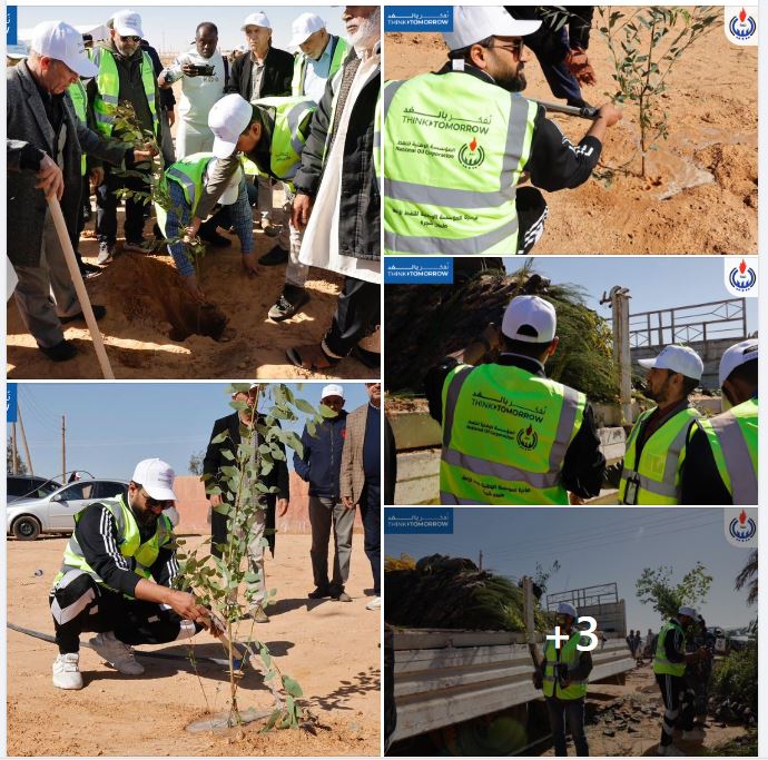 NOC starts first phase of its campaign to plant a million trees