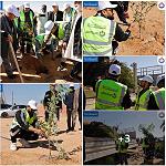 NOC starts first phase of its campaign to plant a million trees