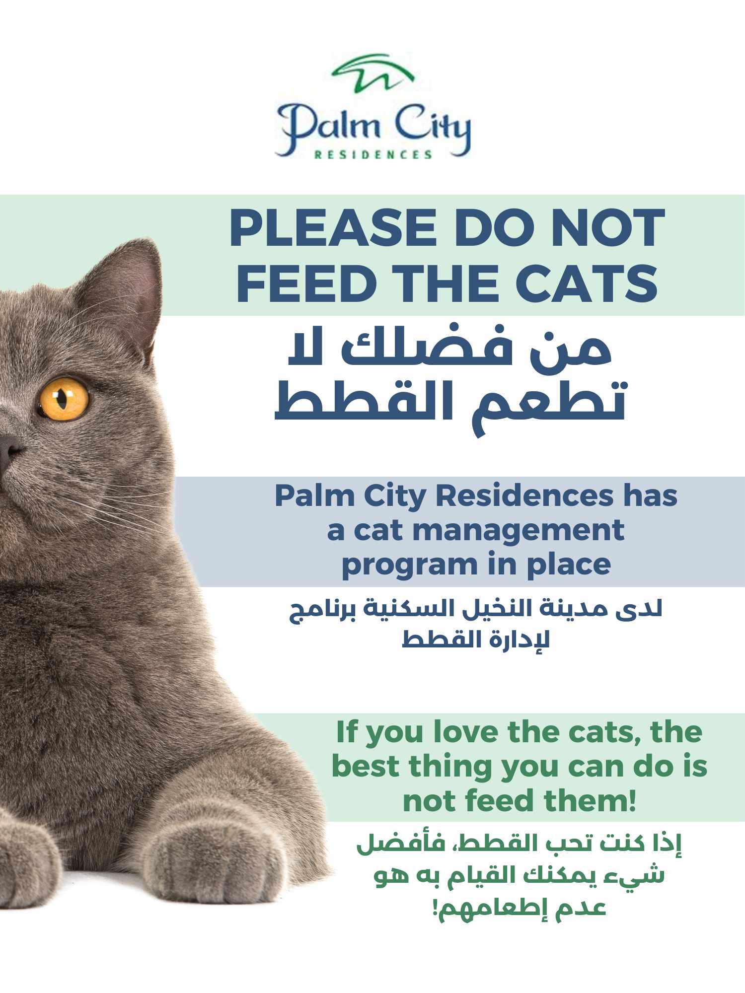 Palm City Residences implements international standard Stray Cat Management Programme