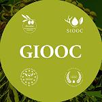 Libyan olive oils win gold in Abu Dhabi’s 2025 International Afro-Asian Olive Oil Competition