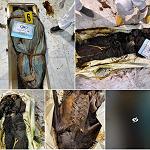 Nine Corpses found in mortuary fridges in Al-Khadra Hospital – disbanded SSA militia say they are Hafter’s mercenaries