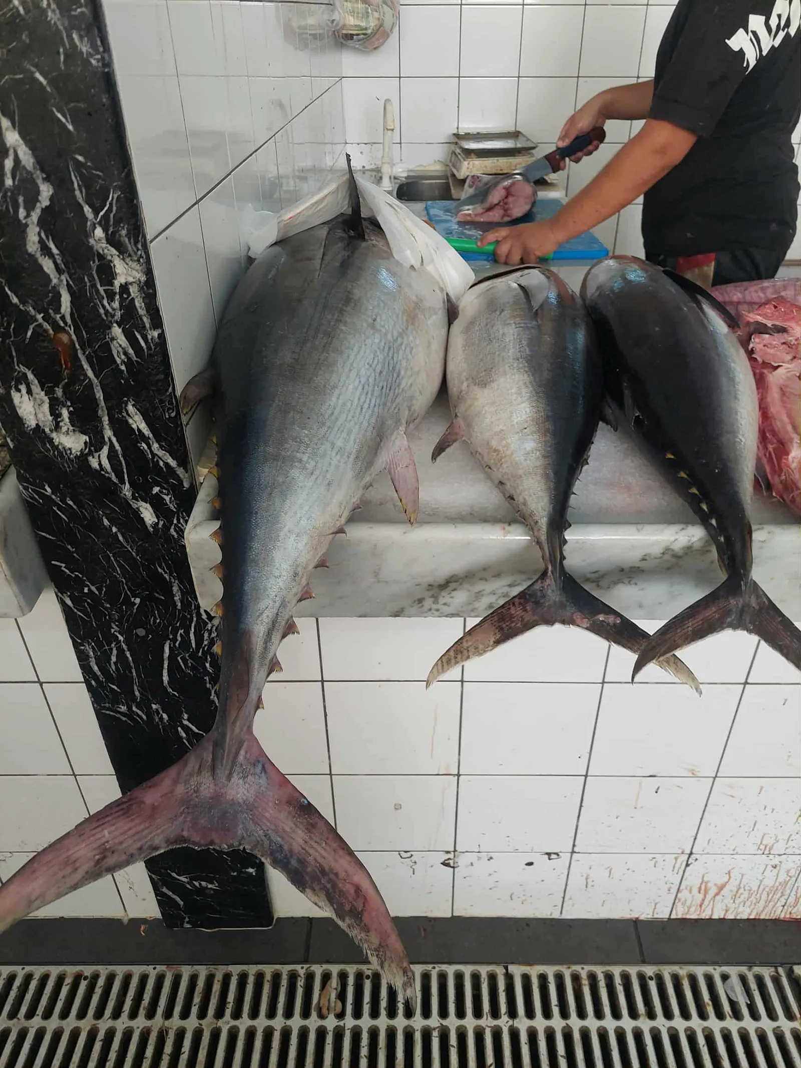 National Strategy for Marine Fisheries for 2027–2037 discussed – production and contribution to GDP targets set